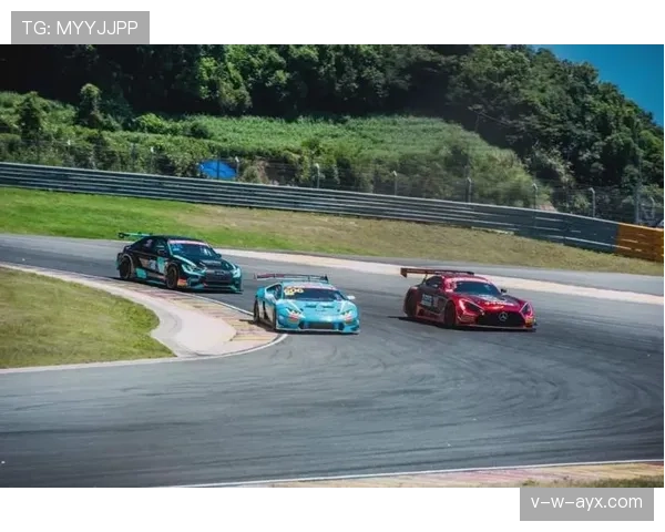 不来梅中场引领新战术，团队协作成为本赛季关键因素