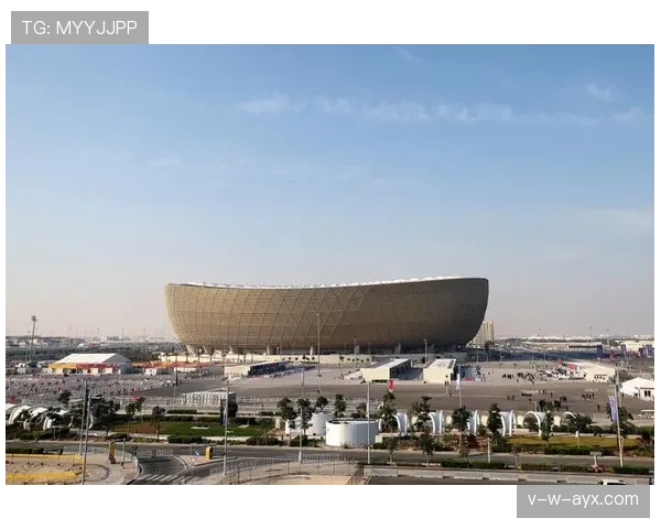 亚洲杯多哈球场